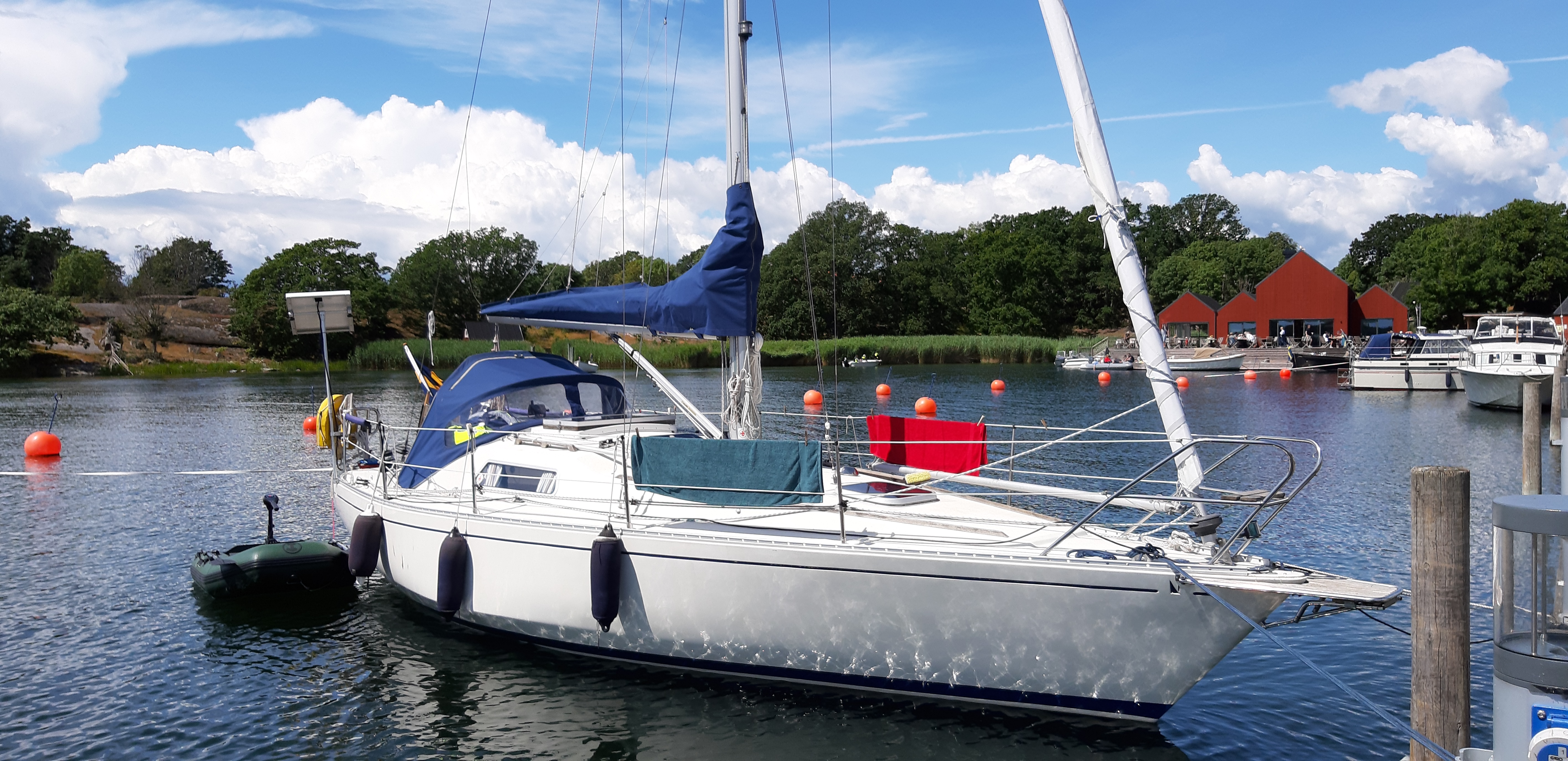 Skärgårdsmiljö med Scampi, juli 2019
